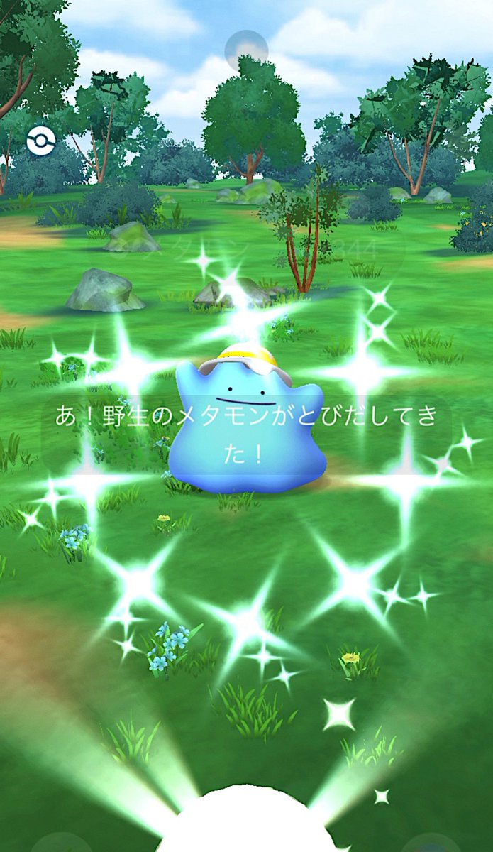 らら 🎀 ポケ tweet media