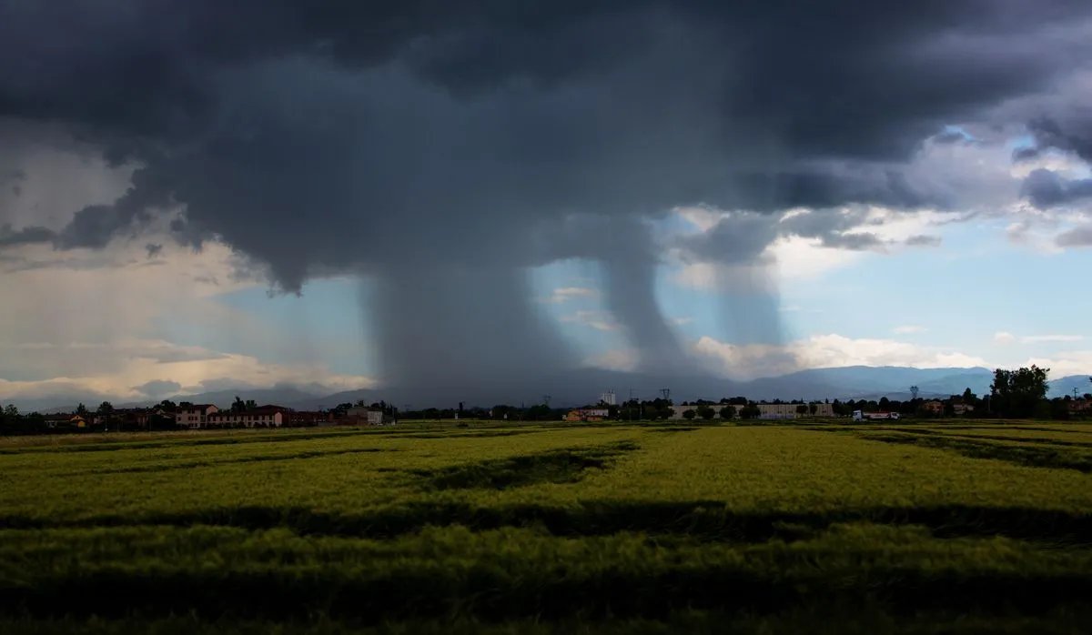 Treccani tweet media