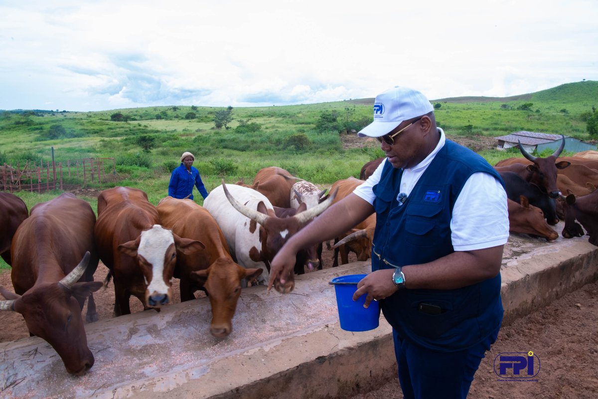 Fonds de Promotion de l'Industrie tweet media