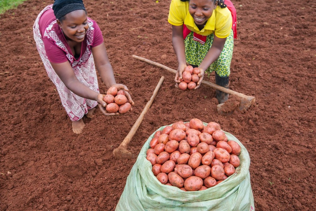 CARITAS DIOCESAINE BYUMBA tweet media