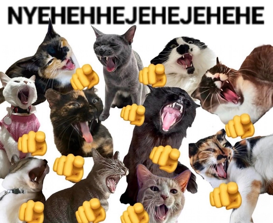 Psycholégiste ⚖️🧠 tweet media