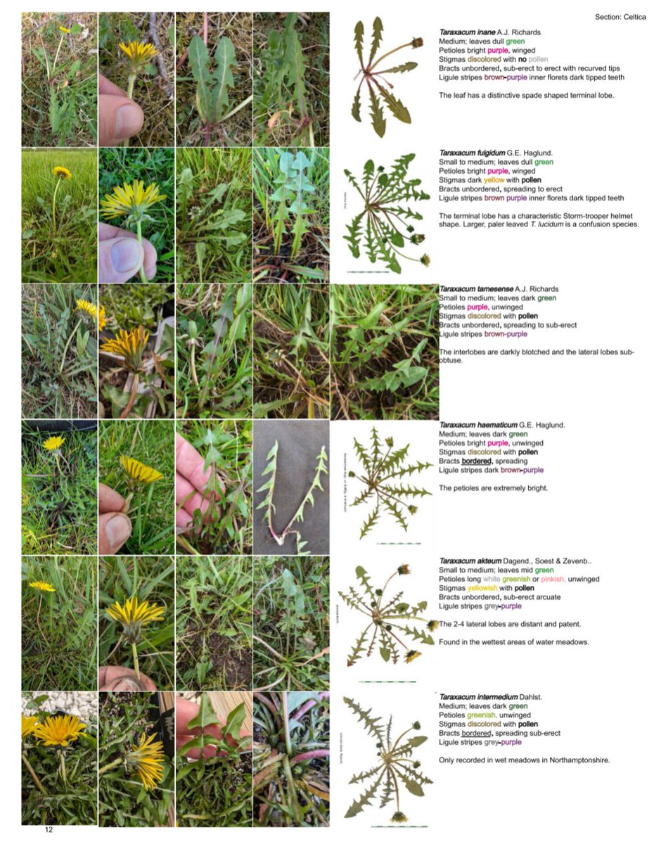 Jon Holt 🟢💸⚖️ tweet media