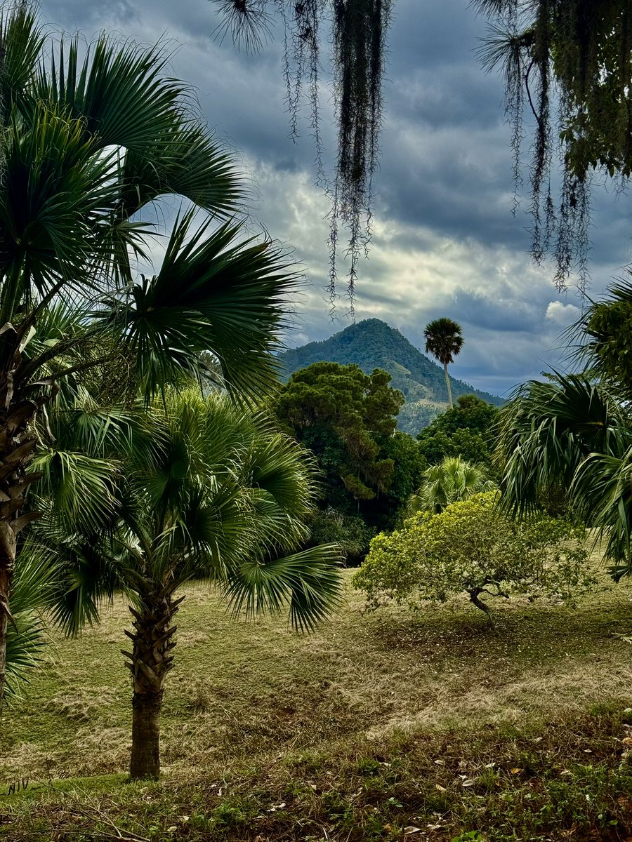 "NO BUSQUES QUE LOS ACONTECIMIENTOS OCURRAN COMO DESEAS; DESEA MÁS BIEN QUE SUCEDAN COMO SUCEDEN Y SERÁS FELIZ."
Lo que nos dice Epícteto en esta frase es una idea central del estoicismo: la paz y la felicidad provienen de alinear nuestros deseos con la realidad en lugar de