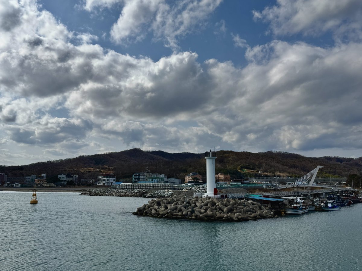 🌙창작자:꽃타래_Flowery Knots✨ tweet media