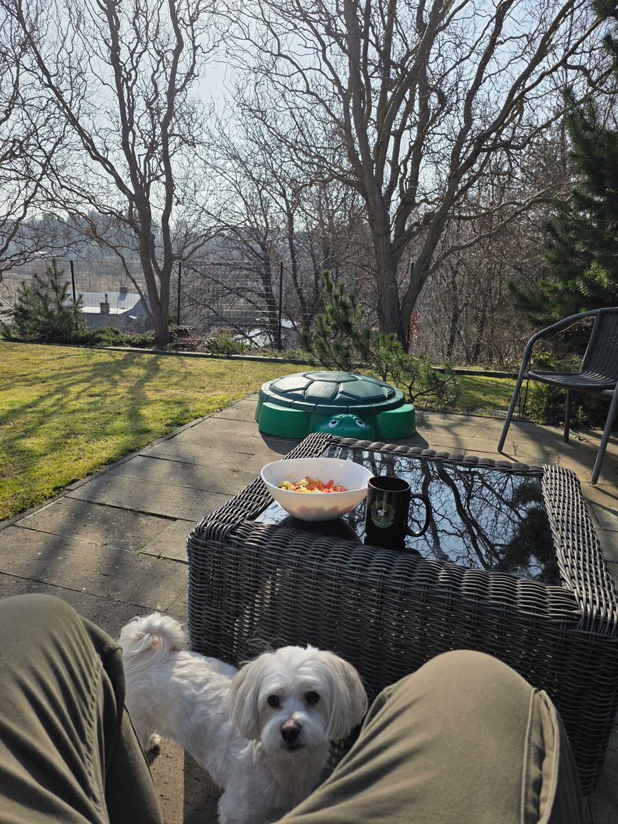 kitze 🛠️ tinkerer.club tweet media