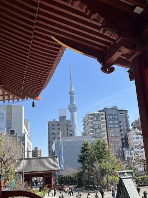 西山優里子特設展が始まりました！  harlemgo10.blog62.fc2.com/blog-entry-398…