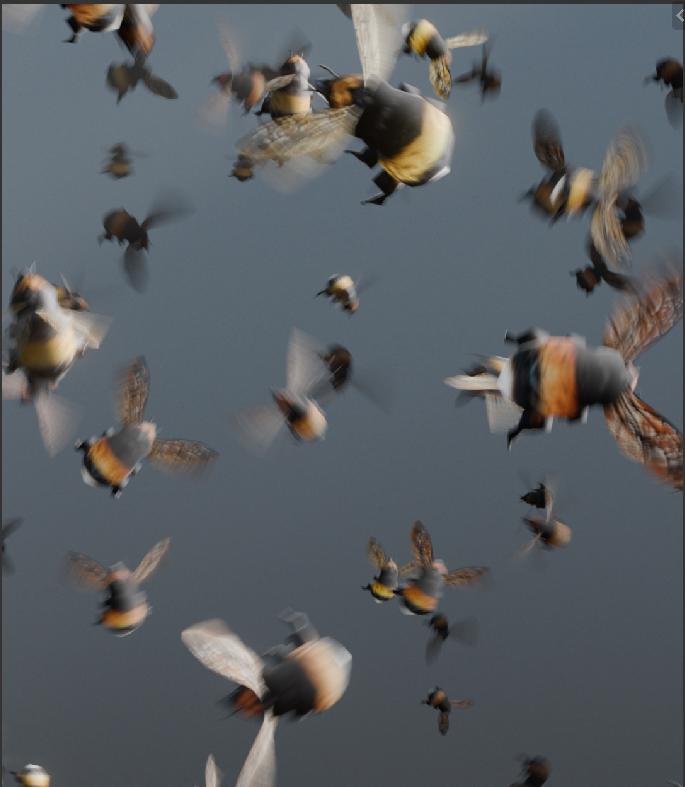 Gleb Alexandrov tweet media