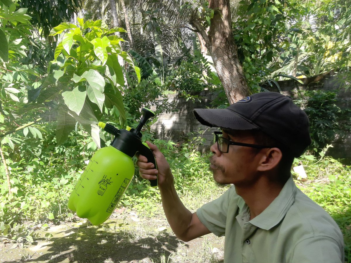 lockeralfonso's tweet photo. Pengetesan sprayer yang baru saja saya terima 🌱🌳🚿
Arigatou 🙏

Beli di sini : https://t.co/dhn2mpGZnL

#tiktok #berkebun #pertanian #sprayer #jual #TaşacakBuDeniz https://t.co/4KVLh6Gz7x