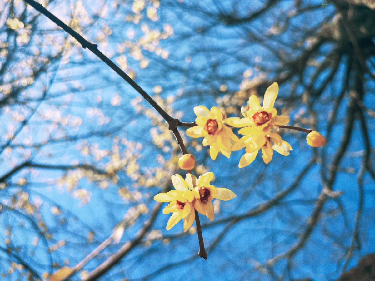 中禅寺 tweet media