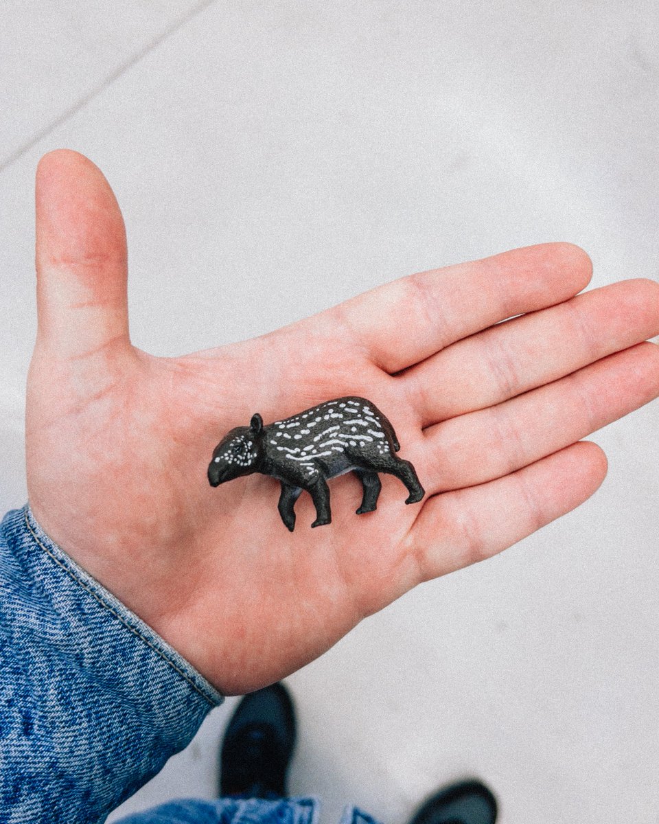 Antøine tweet media