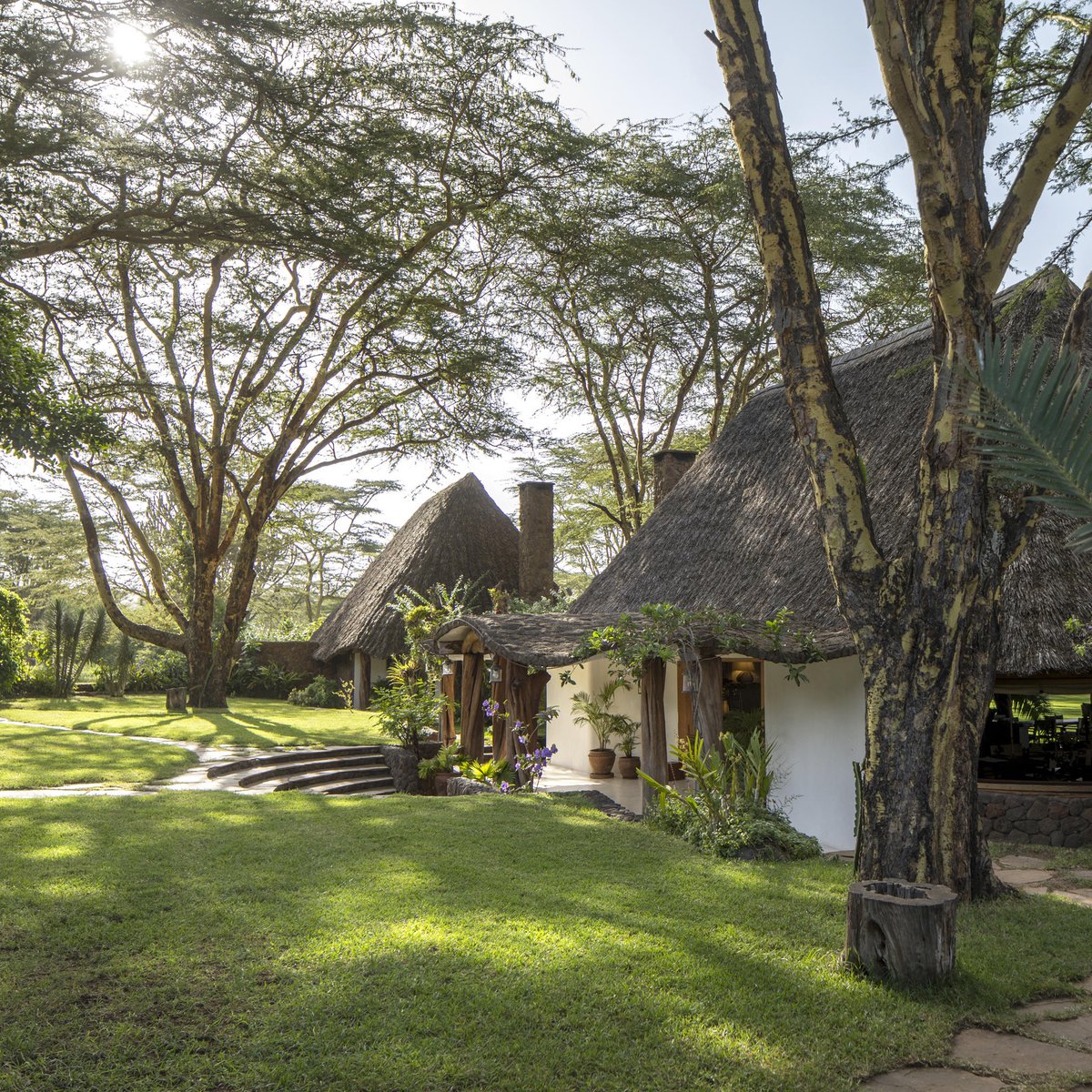 Let’s Discover Travel tweet media