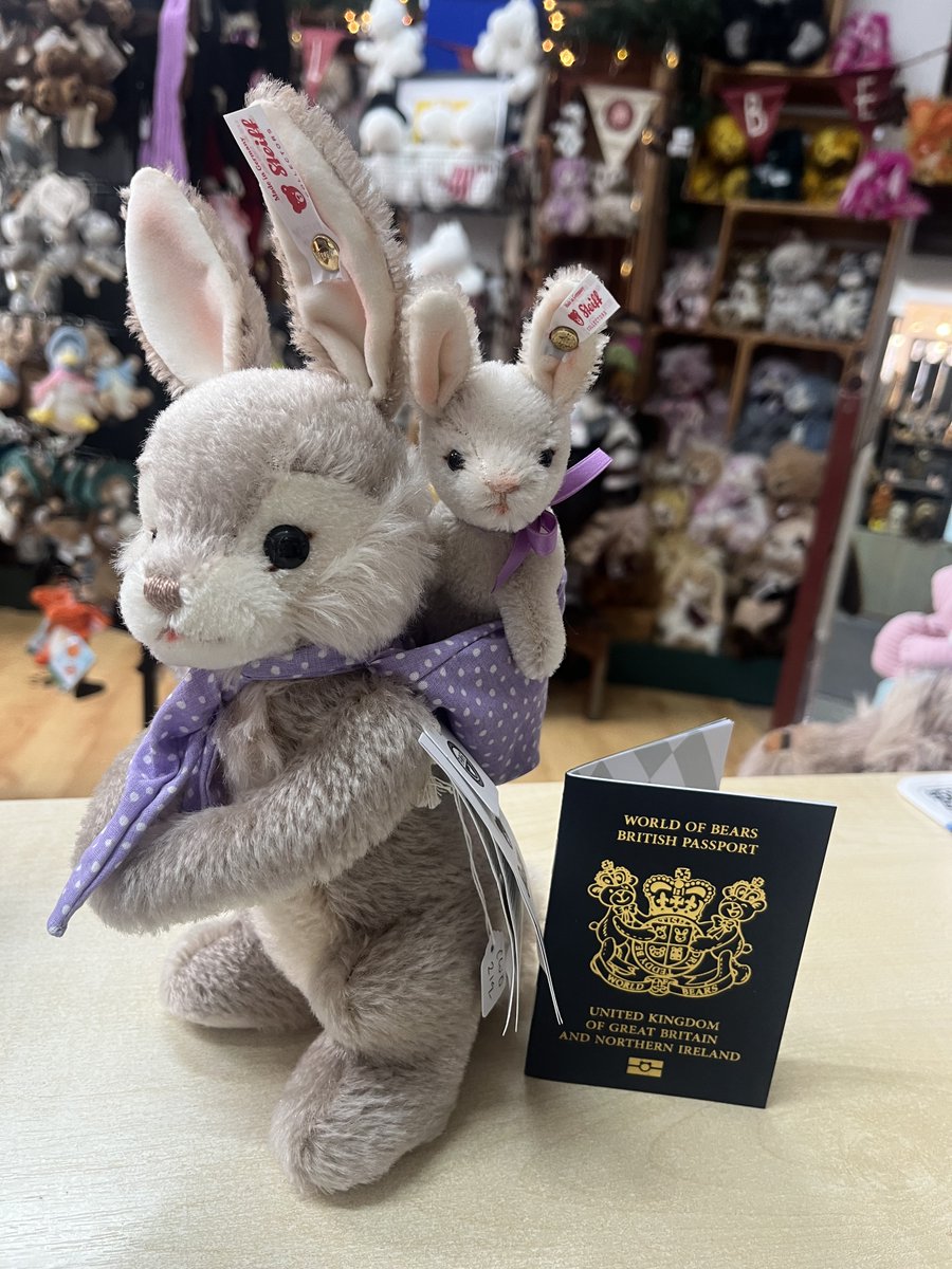 headbear tweet media