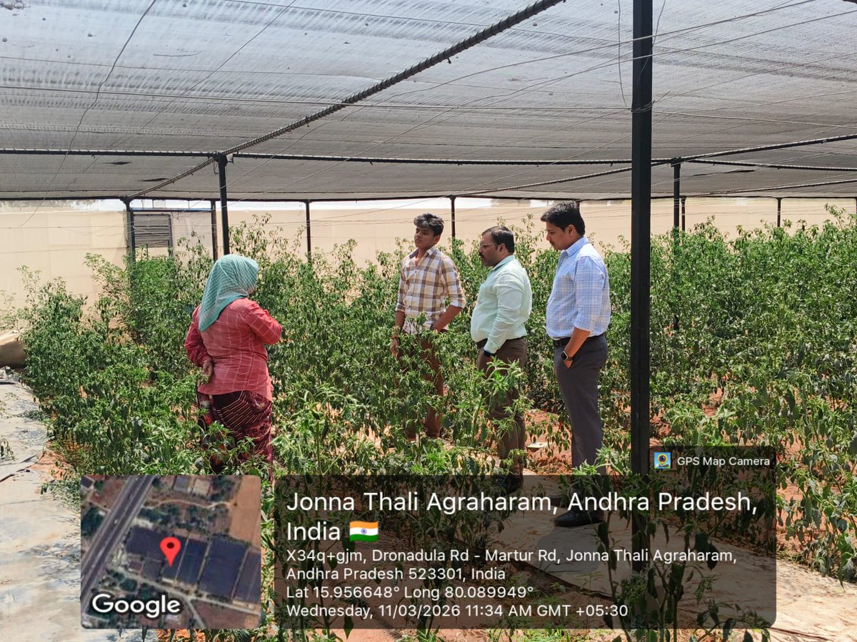 acic_kl's tweet photo. CEO Mr.  Ramankanth Vallabhaneni &amp; ACIC–KL incubation team visited an inspiring organic farming initiative in Martur Village, observing sustainable cultivation of premium chilli &amp; tomato crops and innovative polyhouse climate-controlled farming practices.

#ACICKL  #AgriTech https://t.co/mOPumly0L3