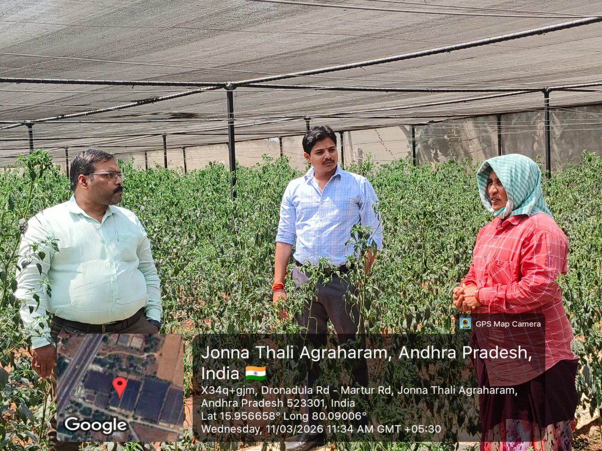 acic_kl's tweet photo. CEO Mr.  Ramankanth Vallabhaneni &amp; ACIC–KL incubation team visited an inspiring organic farming initiative in Martur Village, observing sustainable cultivation of premium chilli &amp; tomato crops and innovative polyhouse climate-controlled farming practices.

#ACICKL  #AgriTech https://t.co/mOPumly0L3