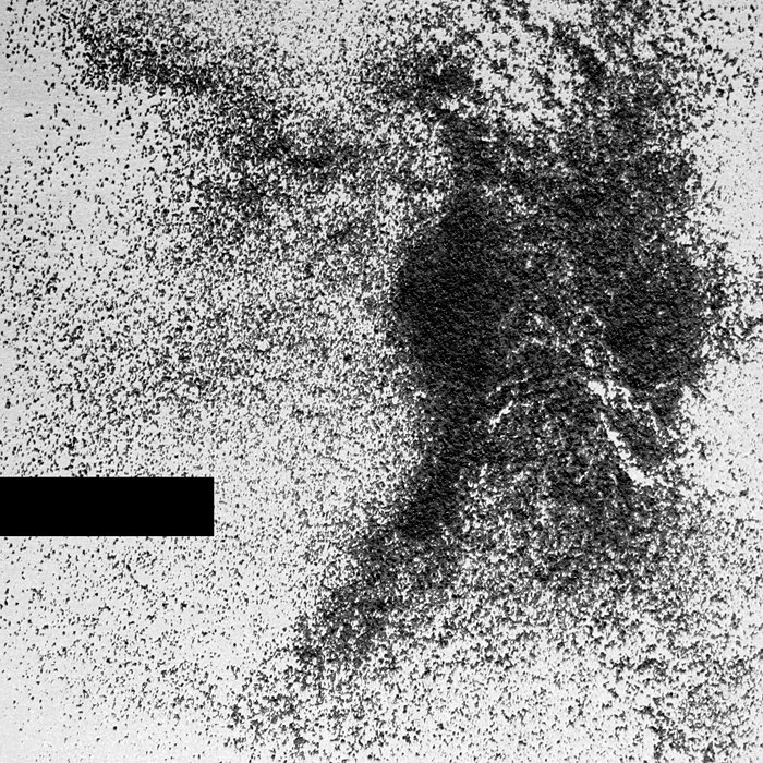 WeirdWizard™ tweet media