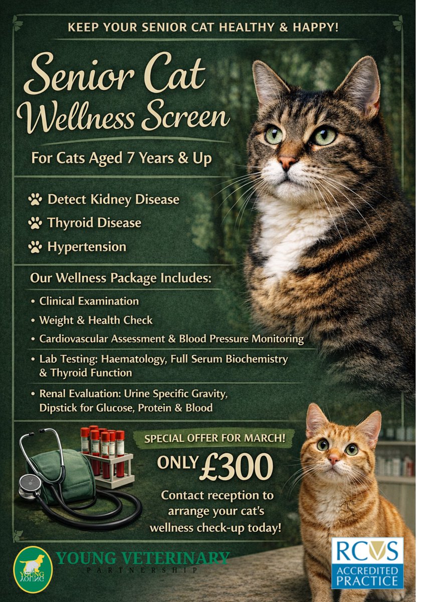 young veterinary tweet media