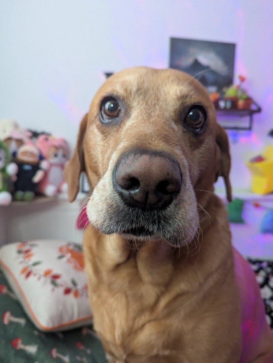 🍄Lilli🍄 tweet media