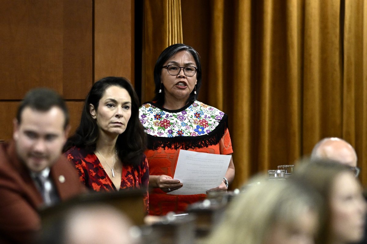 kady o'malley tweet media