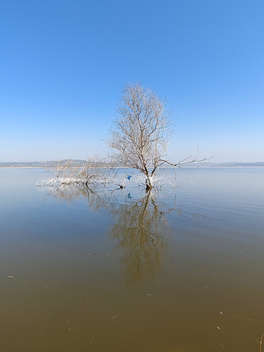 #Uluabatgölü #Eskikaraağaç