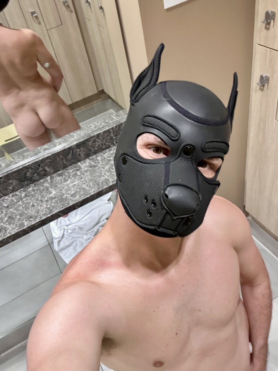 Pup Gemini tweet media