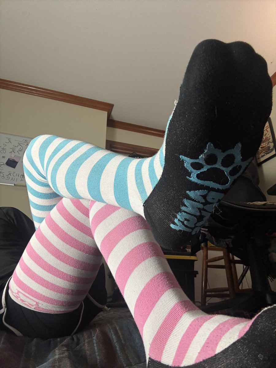 PhonyComb tweet media