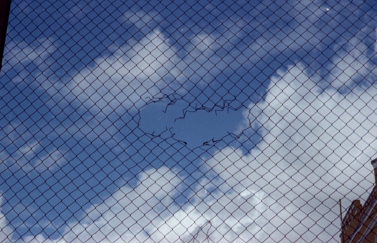 Zoio do Cilindro tweet media