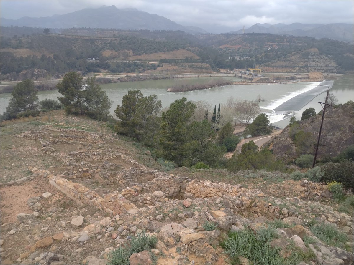 iber.cat tweet media