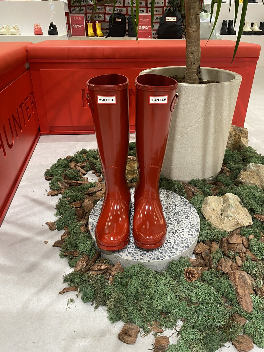 Danielle tweet media