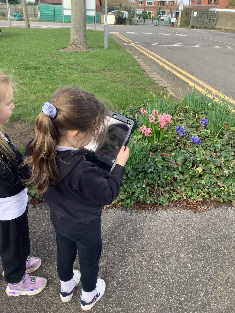 RECEPTIONOPS's tweet photo. We have been on a walk around school today looking for signs of Spring. We used the iPads to take photos of what we found. 🌷#computing #science #eyfs https://t.co/r9J31mjJy9