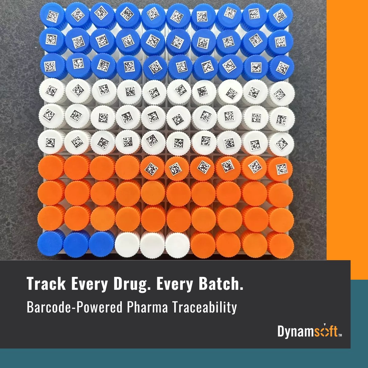 Dynamsoft tweet media