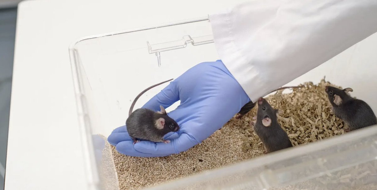 EARA France tweet media