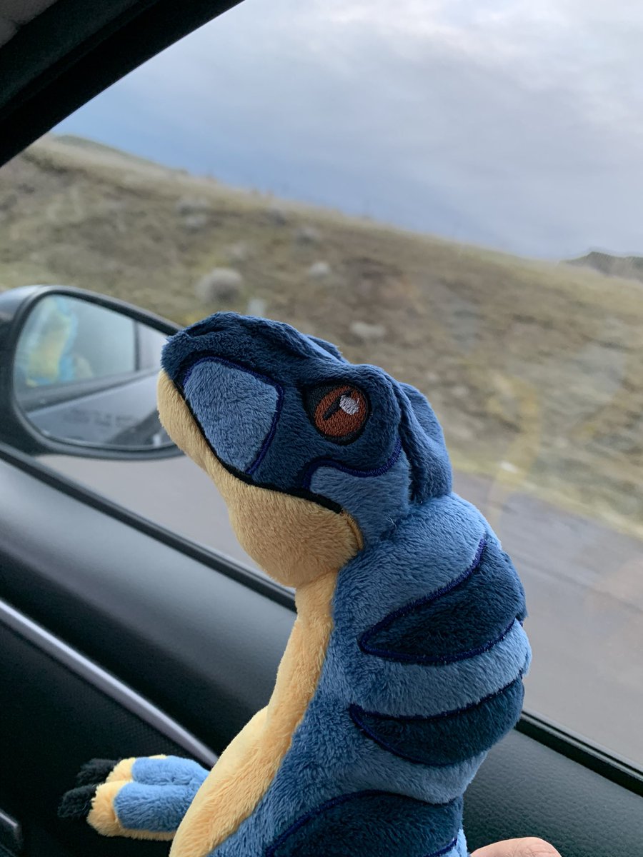 Muse🌿 tweet media