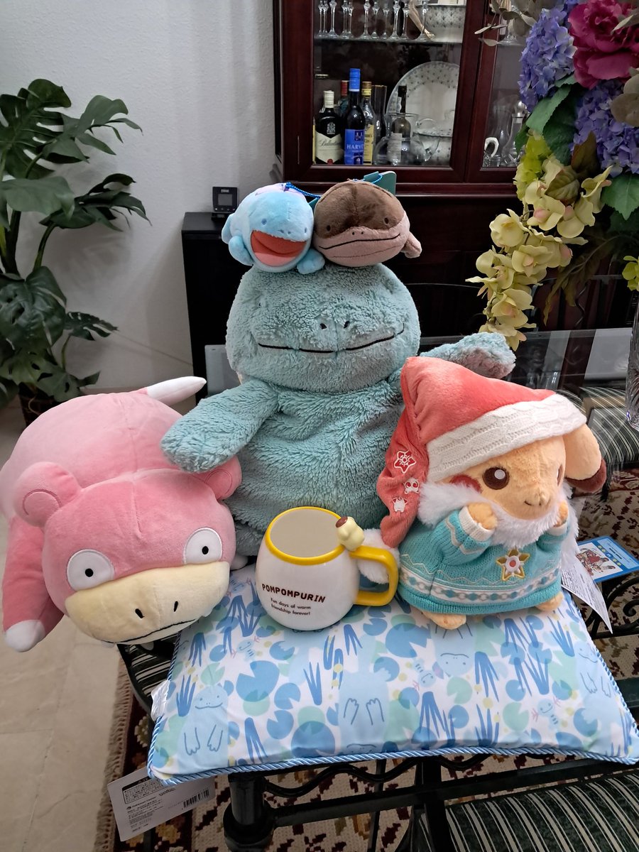Wowie!!! New friends just arrived from Japan!! Quagsire is so excited to introduce them to the family 🩵✨️✨️✨️✨️