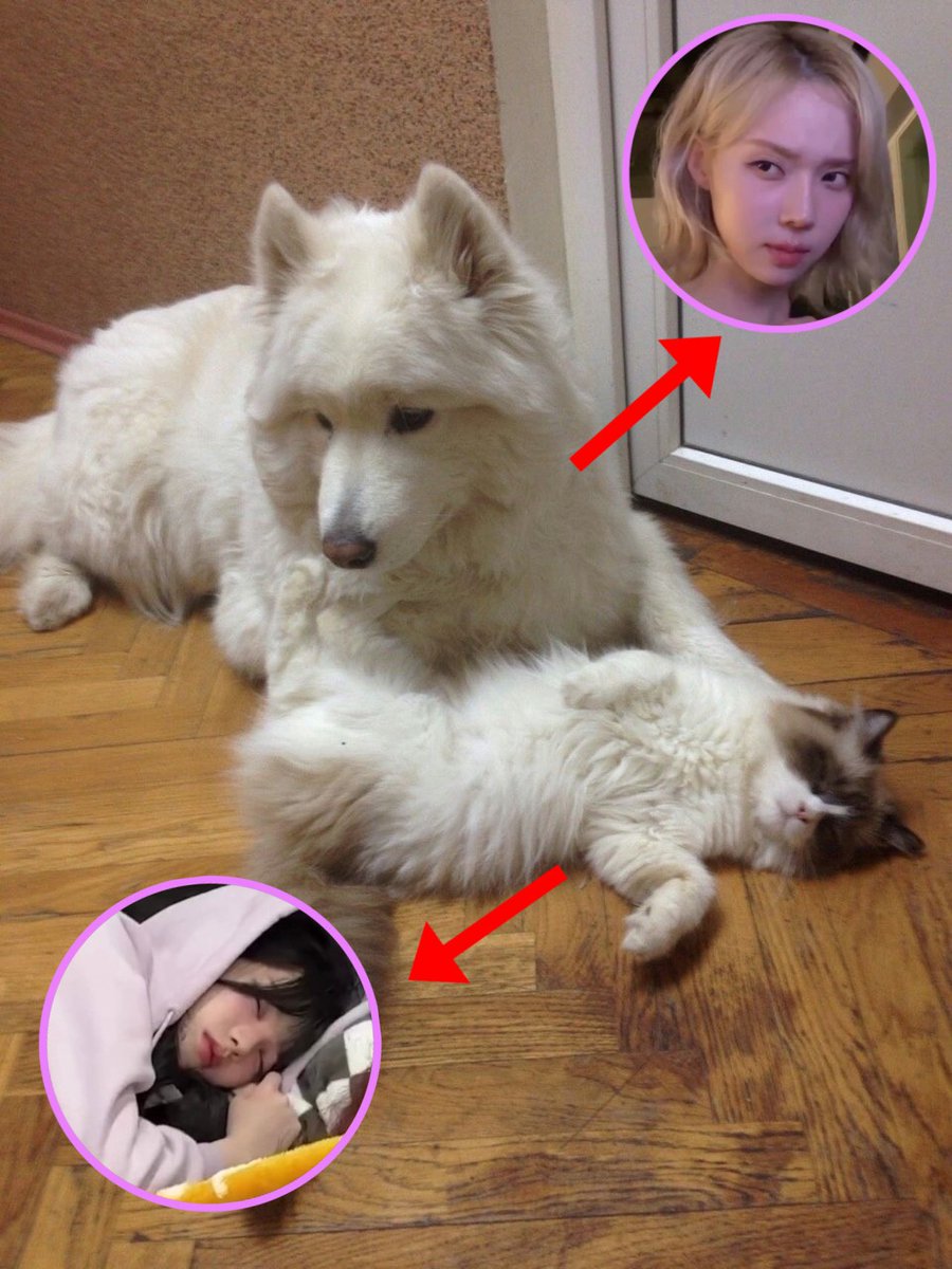 pov : คุรเพื่อนที่บอกว่าจะอยู่กับเราทั้งคืนแต่หลับทันทีที่หัวถึงหมอน

เวอร์ชั่น จีมินจอง