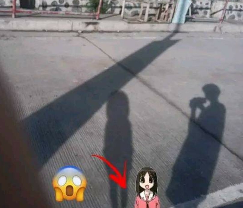 Рајкe tweet media