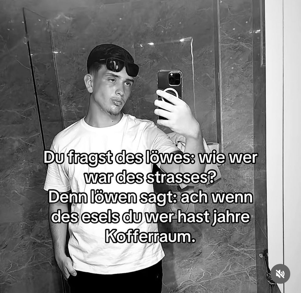 King Floppa II 🇮🇷 tweet media