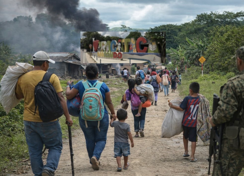 Caribe Investigación tweet media