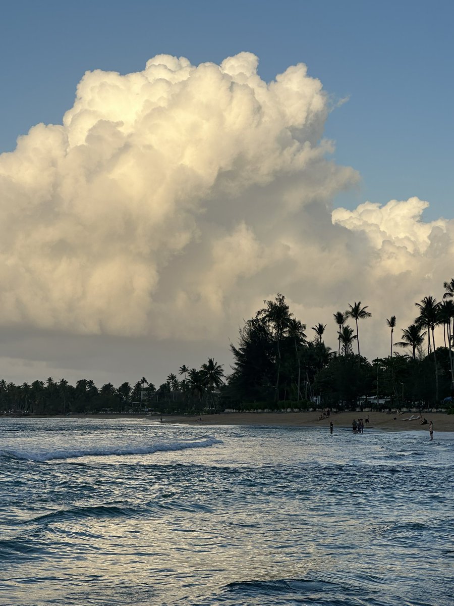 Tommy Christie tweet media