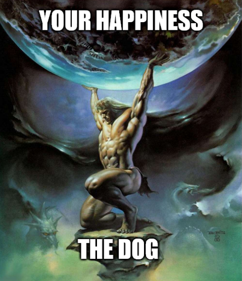 Kushy - seal/acc tweet media