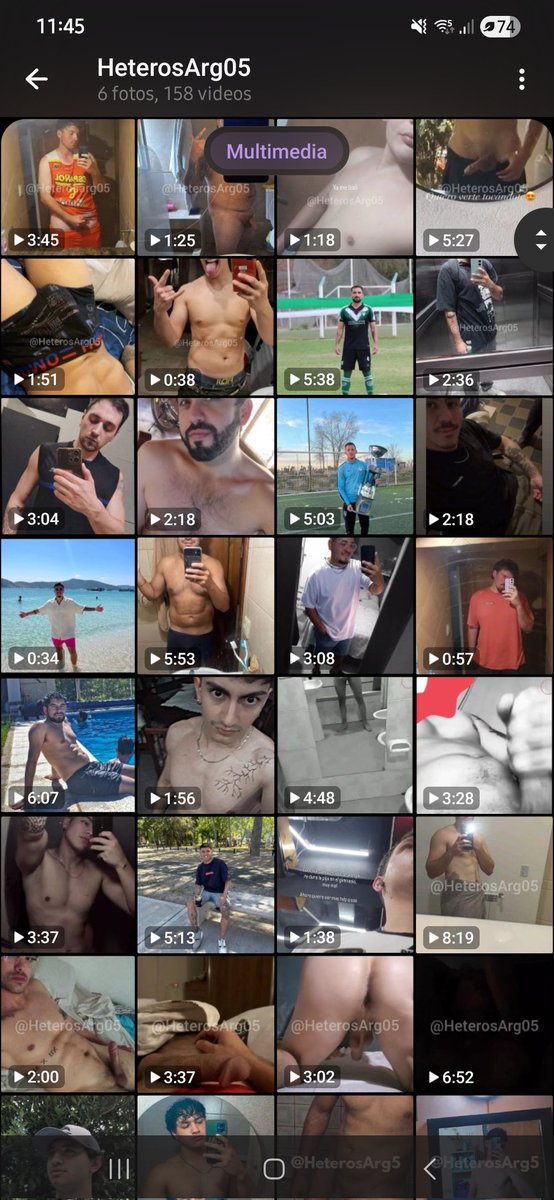 HeterosPrim tweet media