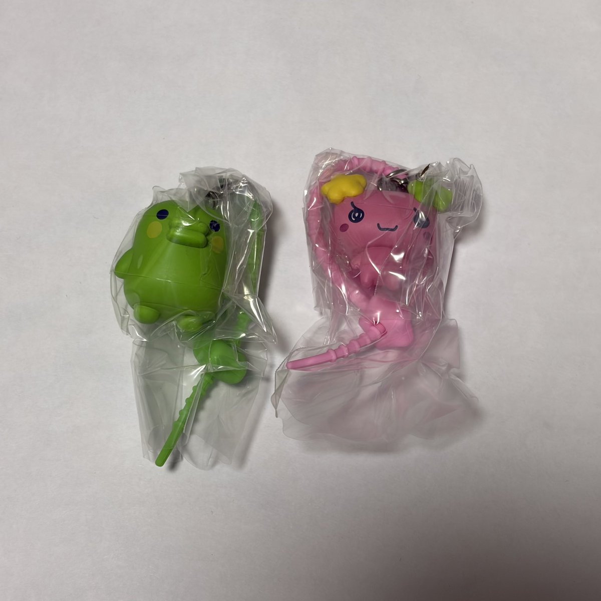 ︎︎︎︎︎n tweet media