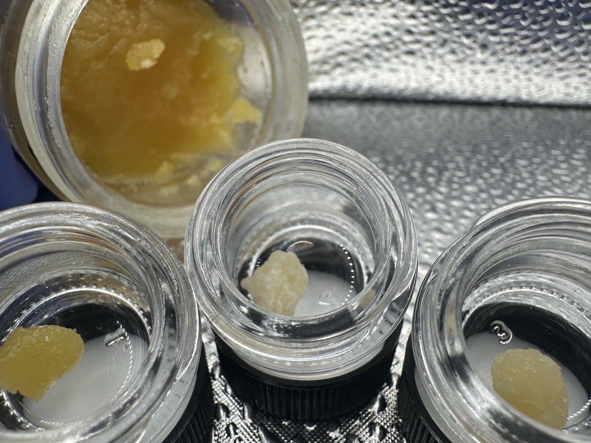 Well Fed Wolf LLC tweet media