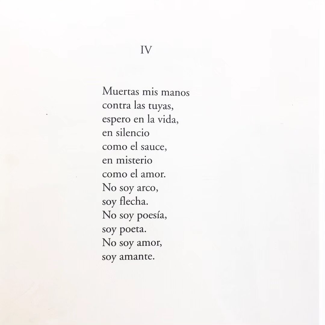 Fundación La Poeteca tweet media