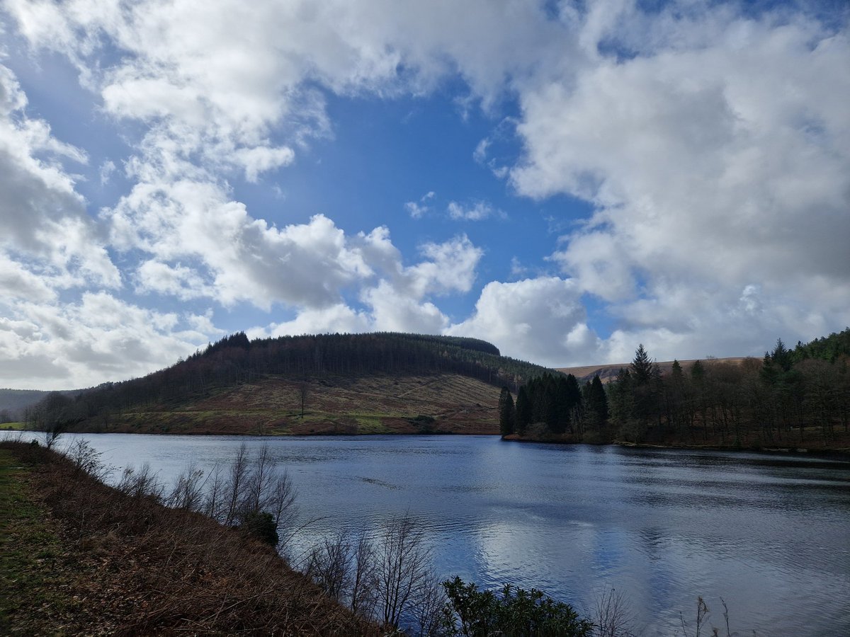 Natural Derbyshire Tours tweet media