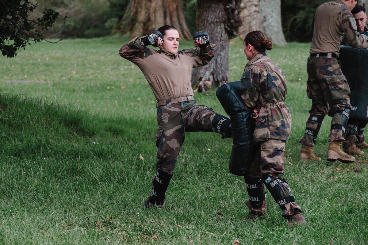 2e régiment de dragons tweet media