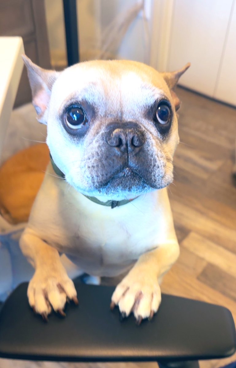 Copper, Frank & Wicklow tweet media