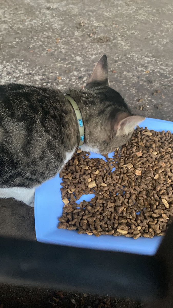 Natalia Ginzo tweet media