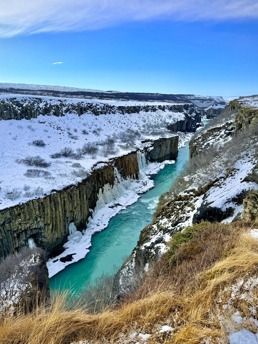 Dominic Manning tweet media