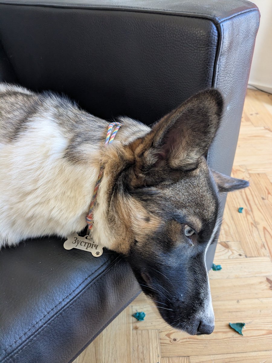 Vovanada tweet media