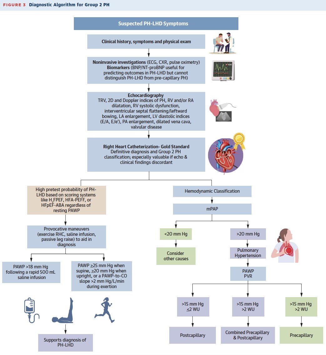 Our state-of-the-art review on pulmonary HTN due to left heart ds (group 2) now publ in JACC. Poor prognosis, esp when pre-capillary PH develops (PVR >2 WU - CpcPH). No specific Rx exist. We're starting the PULSE-LHD trial of PA denervation in 500 pts with group 2 PH and CpcPH.